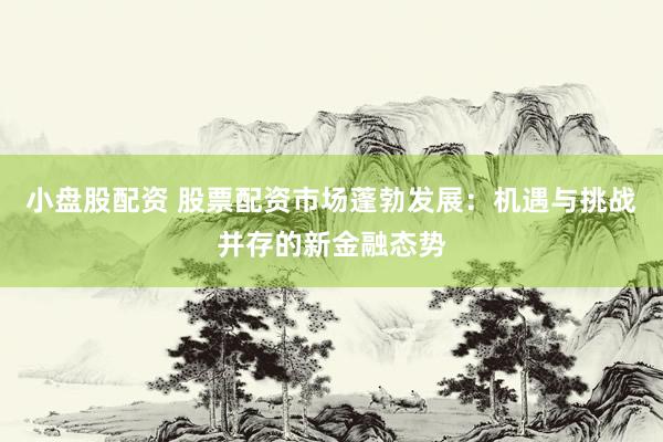 小盘股配资 股票配资市场蓬勃发展：机遇与挑战并存的新金融态势