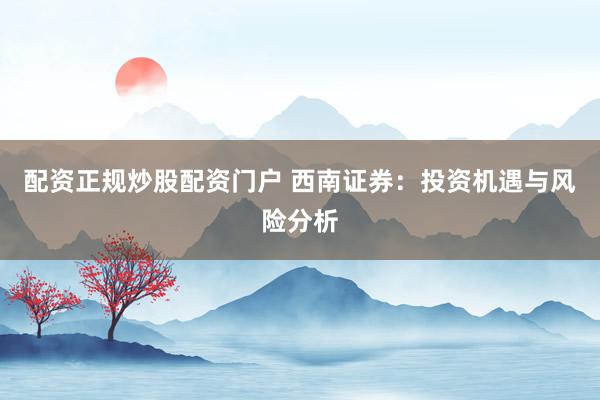 配资正规炒股配资门户 西南证券：投资机遇与风险分析