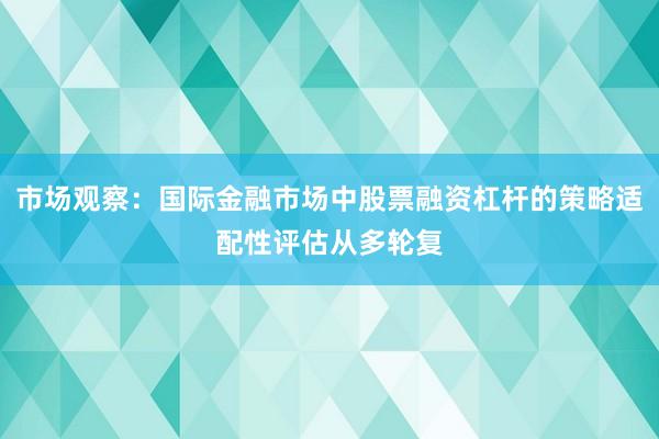 市场观察：国际金融市场中股票融资杠杆的策略适配性评估从多轮复