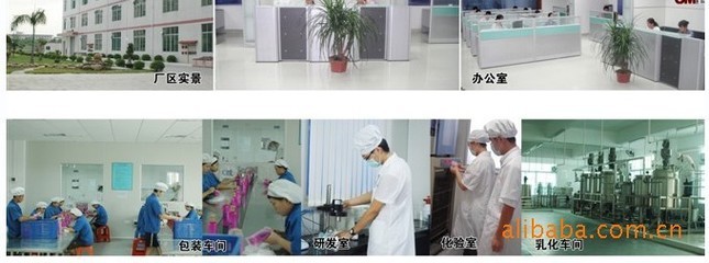 批发厂家直销英文 外贸产品艾纯 阿拉伯文鲜橙身体乳 vc-广州市白云区三元里恋尚化妆品商行 -